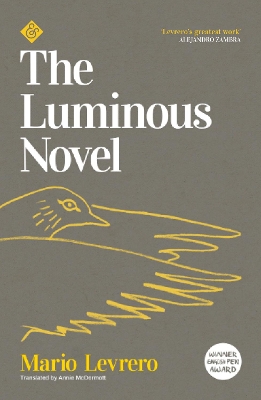 The Luminous Novel book