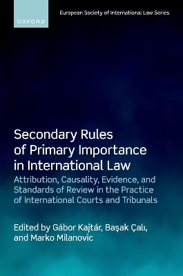 Secondary Rules of Primary Importance in International Law: Attribution, Causality, Evidence, and Standards of Review in the Practice of International Courts and Tribunals book