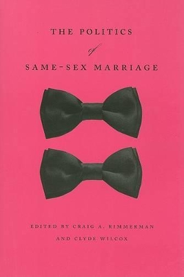 Politics of Same-sex Marriage book