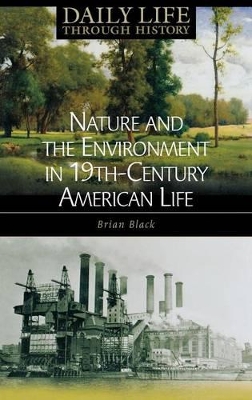 Nature and the Environment in Nineteenth-Century American Life book