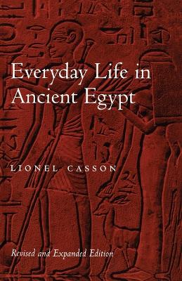 Everyday Life in Ancient Egypt book