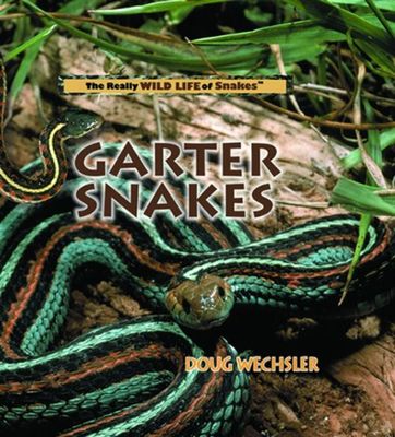 Garter Snakes book