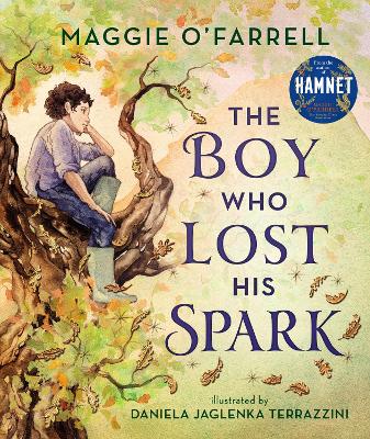 The Boy Who Lost His Spark book