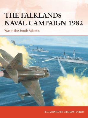 The Falklands Naval Campaign 1982: War in the South Atlantic book