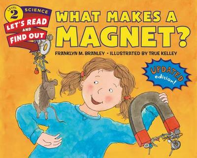 What Makes a Magnet? book