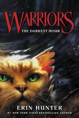 Warriors: #6 The Darkest Hour book
