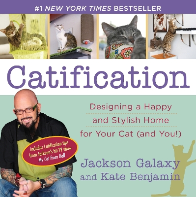 Catification book