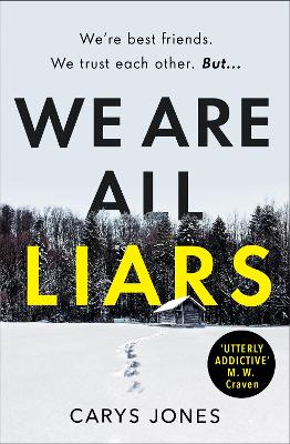 We Are All Liars: The 'utterly addictive' winter thriller with twists you won't see coming book