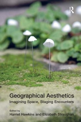 Geographical Aesthetics by Elizabeth Straughan