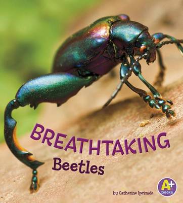 Breathtaking Beetles (Bugs are Beautiful!) by Catherine Ipcizade
