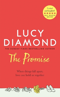 The Promise book
