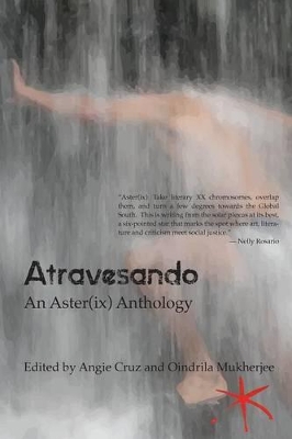 Atravesando book