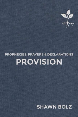 Provision: Prophecies, Prayers & Declarations book