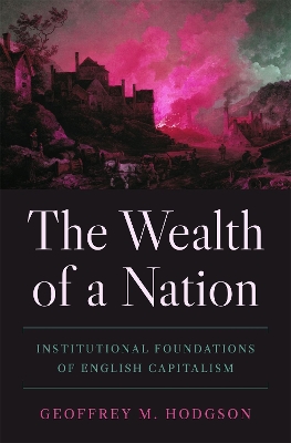 The Wealth of a Nation: Institutional Foundations of English Capitalism book