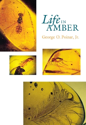 Life in Amber book