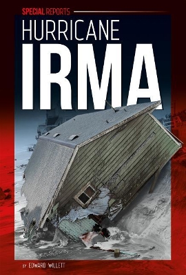 Hurricane Irma book