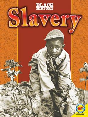 Slavery book