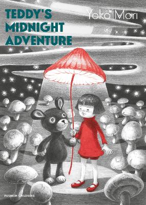 Teddy's Midnight Adventure book