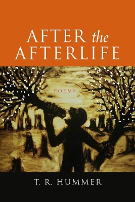 After the Afterlife book