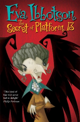 Secret of Platform 13 book