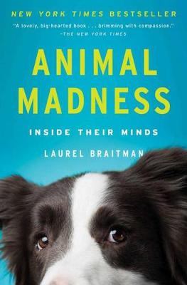 Animal Madness book