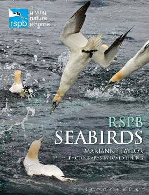 RSPB Seabirds by Marianne Taylor