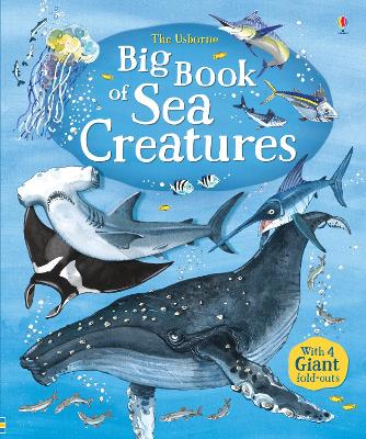 Big Book of Big Sea Creatures book