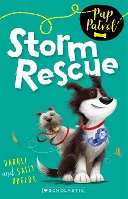 Storm Rescue book