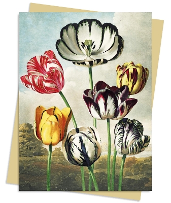 Temple of Flora: Tulips Greeting Card Pack: Pack of 6 book