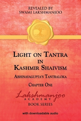 Light on Tantra in Kashmir Shaivism by Professor John Hughes