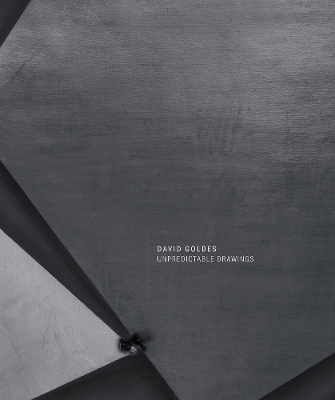 David Goldes: Unpredictable Drawings book