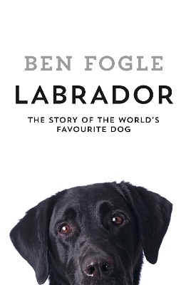 Labrador book