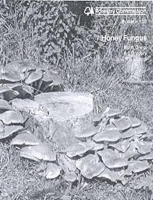 Honey Fungus book