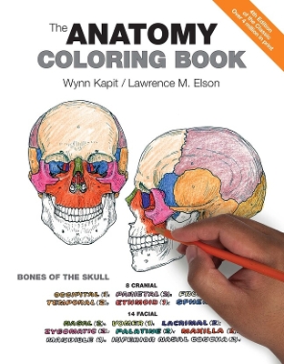 Anatomy Coloring Book book