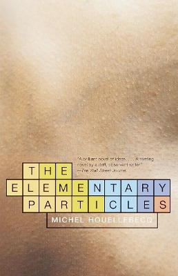 Elementary Particles book