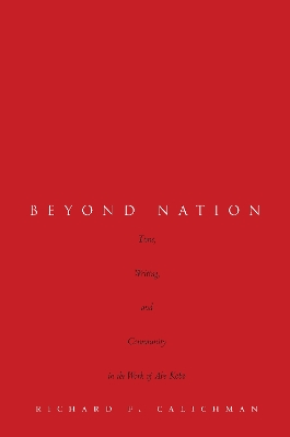 Beyond Nation book