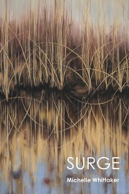 Surge book