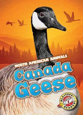 Canada Geese book