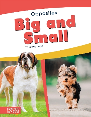 Big and Small by Kelsey Jopp