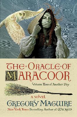 The Oracle of Maracoor: A Novel book