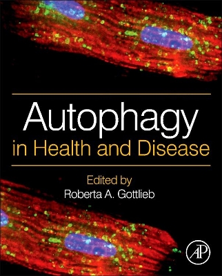 Autophagy in Health and Disease book