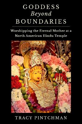 Goddess Beyond Boundaries: Worshipping the Eternal Mother at a North American Hindu Temple book