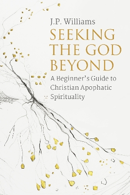 Seeking the God Beyond book