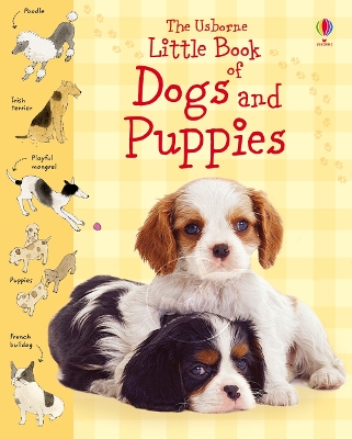 Little Book of Dogs and Puppies book