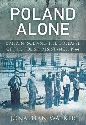 Poland Alone book