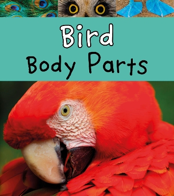 Bird Body Parts book