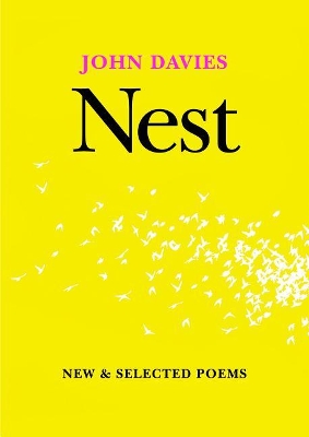 Nest: New and Selected Poems book