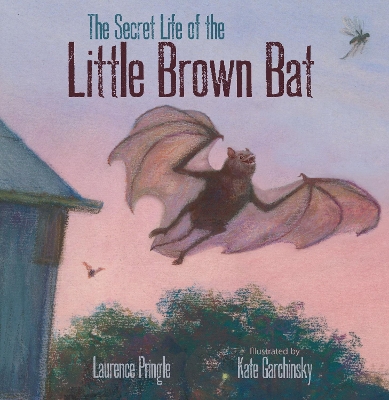 Secret Life of the Little Brown Bat book