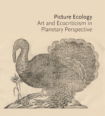 Picture Ecology: Art and Ecocriticism in Planetary Perspective book