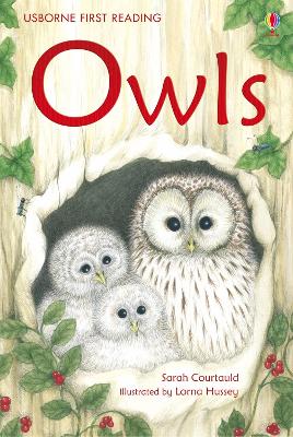 Owls by Sarah Courtauld